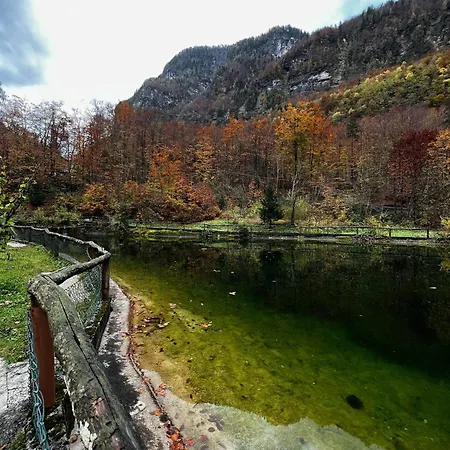 샬레 ~chalet_rifugio Tra I Boschi~